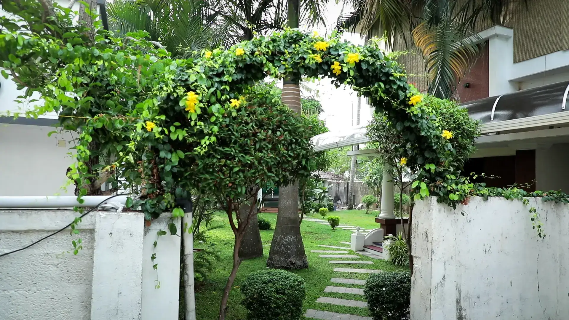 Healing Environment